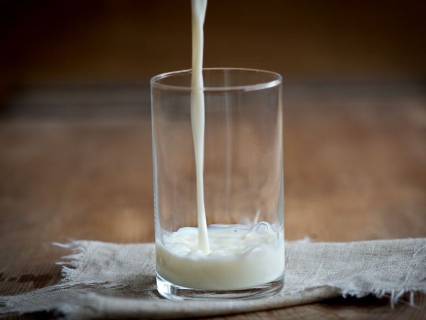 NÃO CONFUNDA INTOLERÂNCIA À LACTOSE COM ALERGIA A PROTEÍNA AO LEITE DE VACA