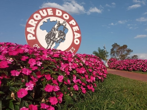 As flores serão um dos destaques da 65ª Festa do Peão de Barretos, que acontece de 18 a 28 de agosto - divulgação