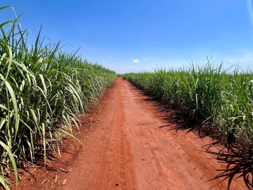 Ampliação do capital externo altera cenário do setor sucroenergético